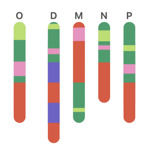 Zoom in structural view of poem 91, showing the five bars colored by kami-no-ku, shimo-no-ku, and imagined ku across the original and four translations.